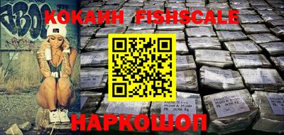 гашик Сланцы