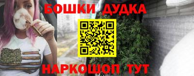 гашик Сланцы