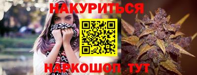 гашик Сланцы