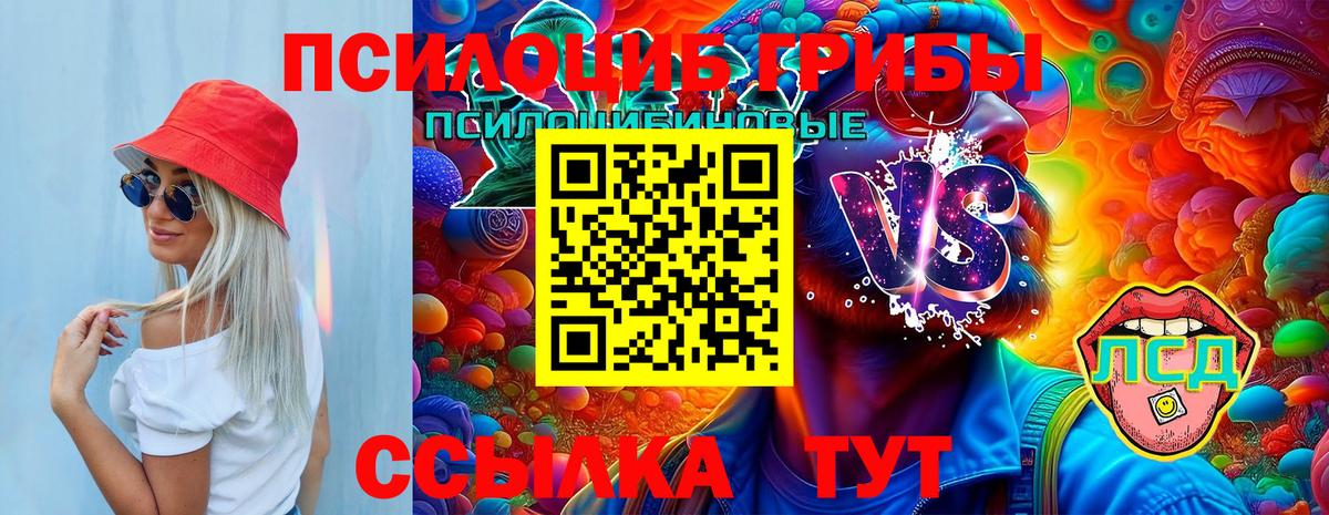 Галлюциногенные грибы GOLDEN TEACHER  Вход с VPN  Новошахтинск 